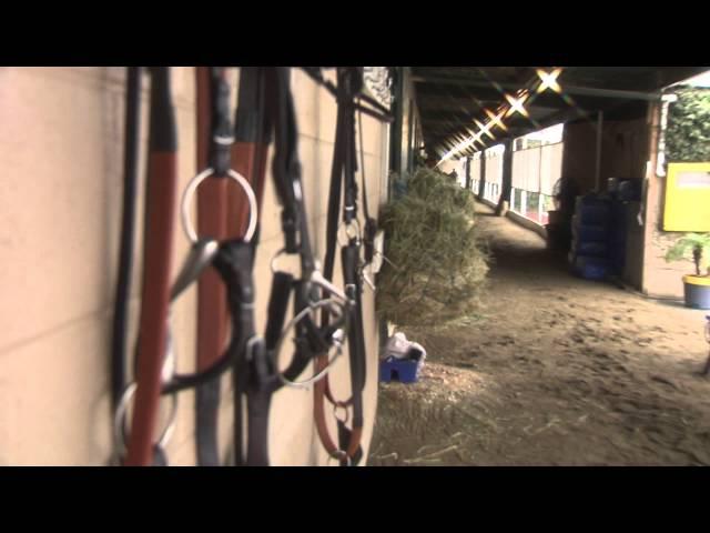 Bob Baffert's Los Alamitos Barn