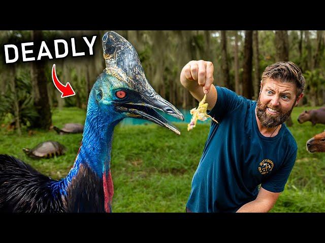 Private Tour Of Florida's Craziest Backyard Zoo