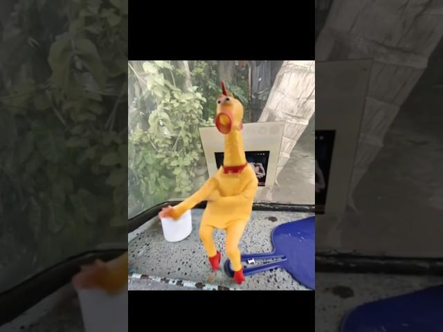 Trending Mr chicken Dance #プロセカ #tiktok #shorts