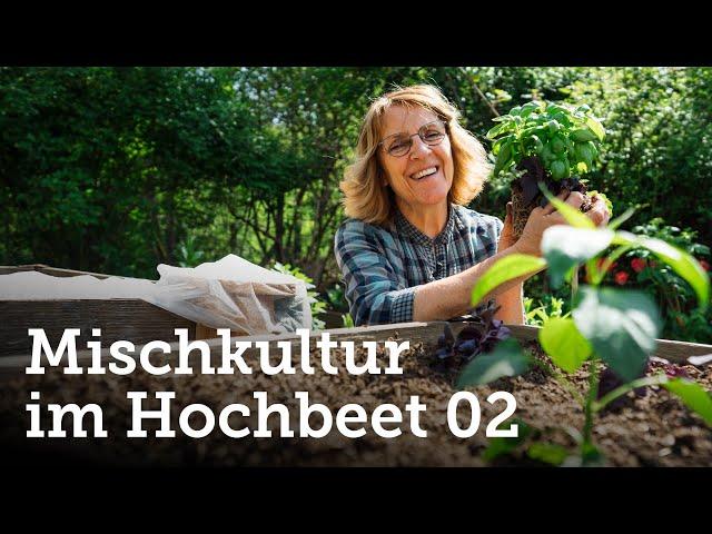 Teil 2 | Mischkultur im Hochbeet mit Gurke, Baslikum & mehr für eine reiche Ernte! 