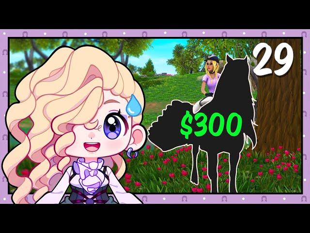 Buying a $300 Pegasus, are they worth it? - Star Equestrian [29]