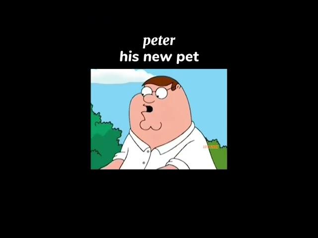 Peter his new pet #shorts #music #pettergriffin #pet #funny #viralshort @FamilyGuyFlashbacks
