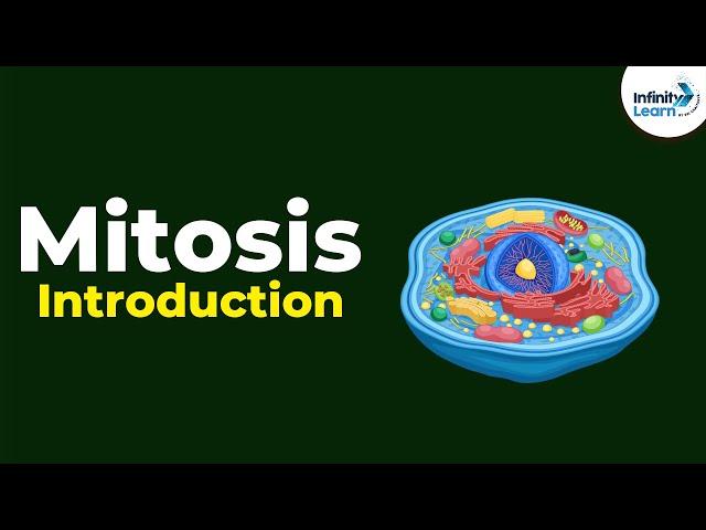 Introduction to Mitosis | Don't Memorise