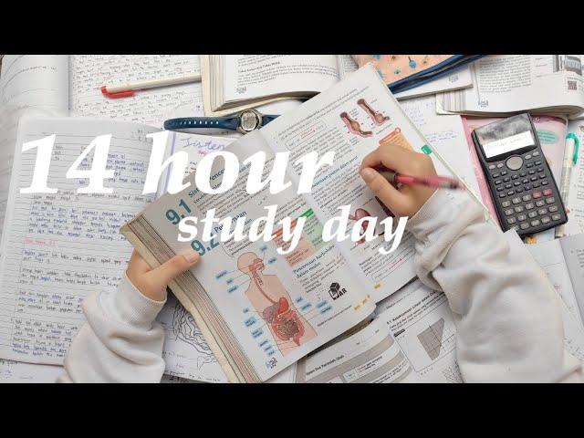 Vlog 01 // 14 Hour Study Day