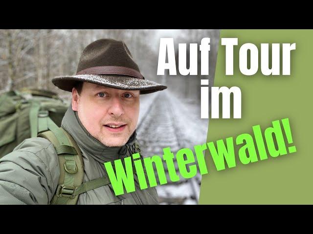 Ein Trip durch den schönen Winterwald