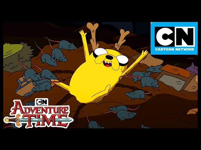 Huge Adventure Time Compilation | Full Season 1 | Adventure Time | Cartoon Network