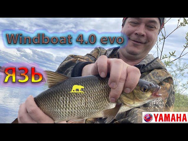 Бой Язь против Ильи Борисыча !!) Windboat 4.0 evo ! Yamaha 9.9 !