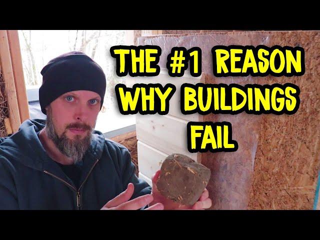 The Top Reason Why Buildings Fail & Why Cob Walls Protect Against Mold and Moisture