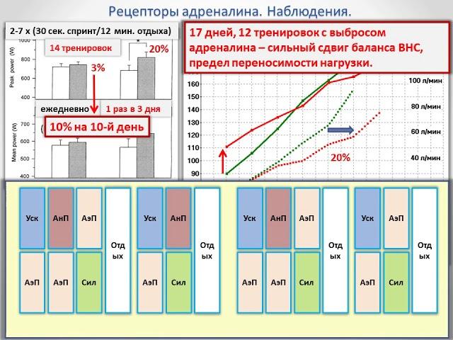 Тема №3. Планирование подготовки для циклических видов спорта,  2019. Часть 1. -А. Вертышев