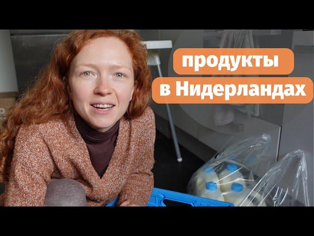 Влог: Цены на продукты в Нидерландах | Cо мной не говорят по-нидерландски!