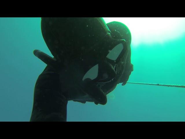 20.5 meter breathhold dive on empty lungs - full exhale