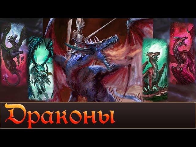 ДРАКОНЫ мира Warhmmer FB | Лор Total War Warhammer 3.