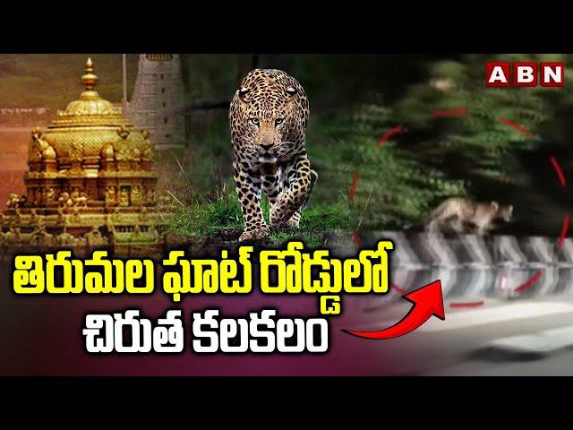 తిరుమల ఘాట్ రోడ్డులో చిరుత కలకలం || Chirutha Hulchul at Tirumala Ghat Road || ABN Telugu