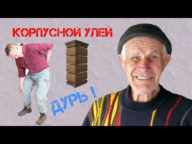 Корпусной улей  - это ДУРЬ