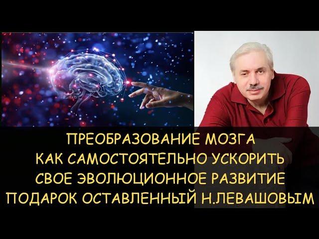  Эволюционное преобразование мозга от Николая Левашова - как самостоятельно ускорить свое развитие