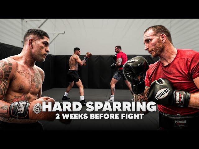 Alex Pereira SPARRING Giant Heavyweight Boxer