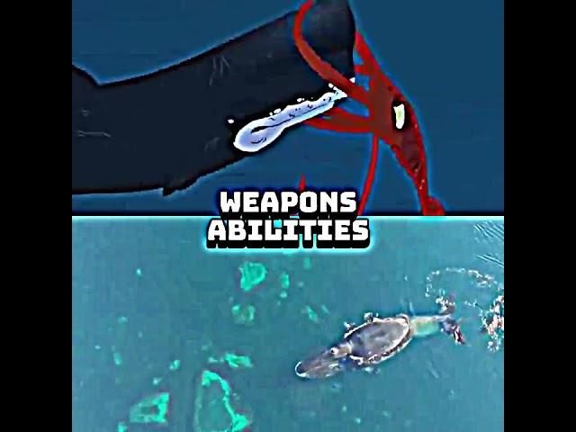 Sperm whale vs Bowhead whale