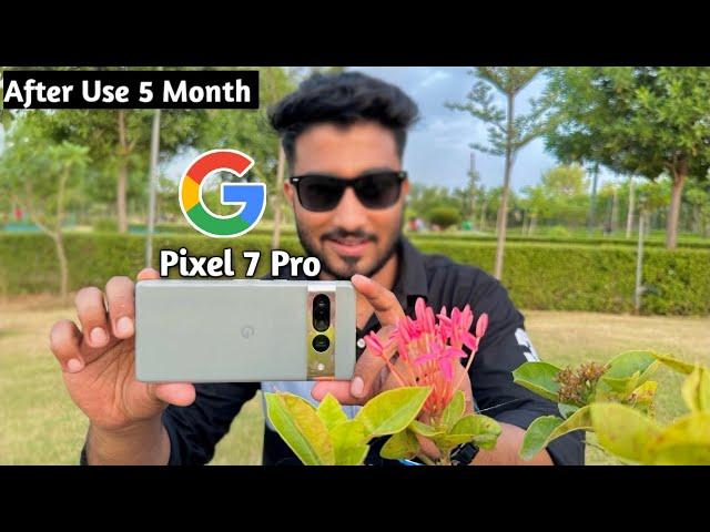 Google Pixel 7 Pro Camera Test | After Use 5 Month |Pixel 7 Pro Camera