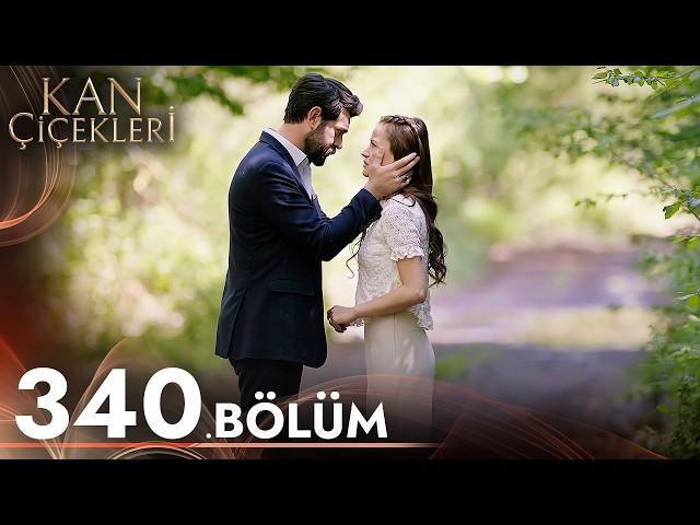 Kan Çiçekleri 340. Bölüm