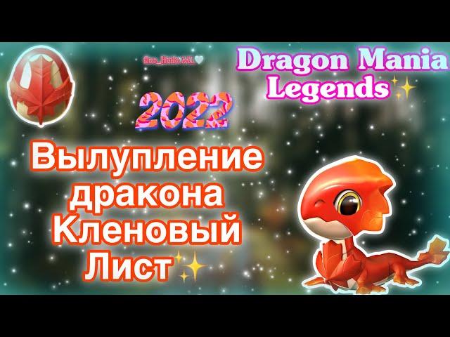 ВЫЛУПЛЕНИЕ ДРАКОНА НЕДЕЛИ КЛЕНОВЫЙ ЛИСТ В ЛЕГЕНДЫ ДРАКОНОМАНИИ | Dragon Mania Legends