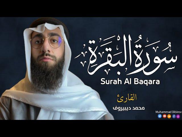 سورة البقرة ( كاملة ) للقارئ محمد ديبيروف | Muhammad Dibirov Surah Al-Baqara