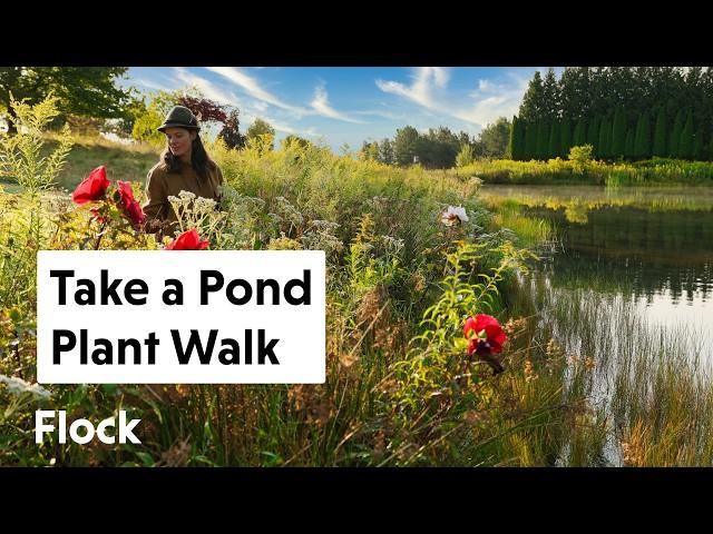 POND PLANT Walking Tour — Ep. 272