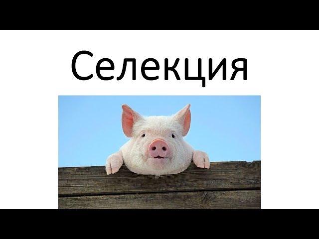 Селекция как наука. Методы селекции.