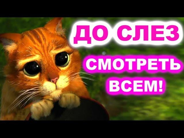 САМАЯ ГРУСТНАЯ ИСТОРИЯ! СМОТРЕТЬ ВСЕМ! ДО СЛЕЗ