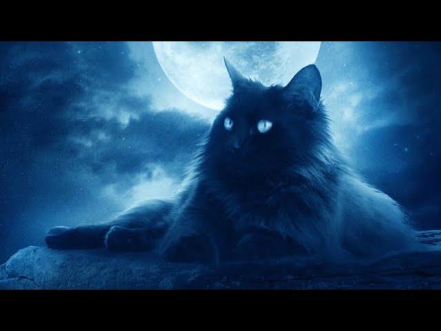 Кот Баюн — самый неоднозначный сказочный герой