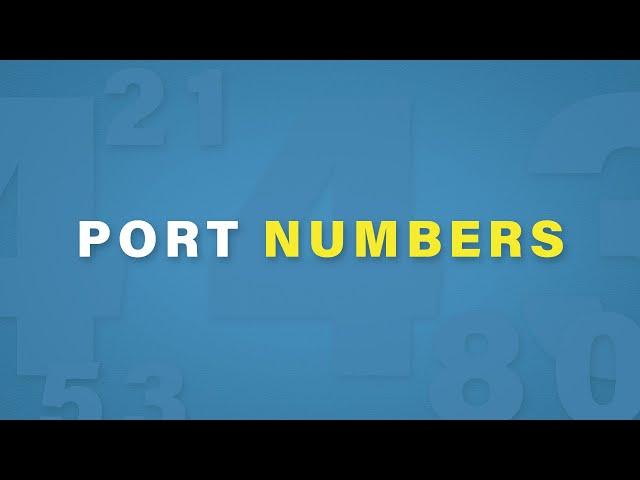 Port Numbers Explained | Cisco CCNA 200-301