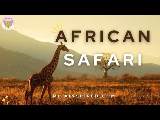 SCENIC WILDLIFE AFRICAN SAFARI Video #safari #nature #travel #wildlife #explore #africa #adventure