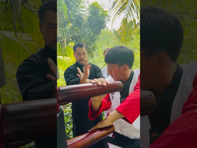 Double blocks with the palms #martialarts #vothuat #kungfu #karate #masterphan #taekwondo #dummy