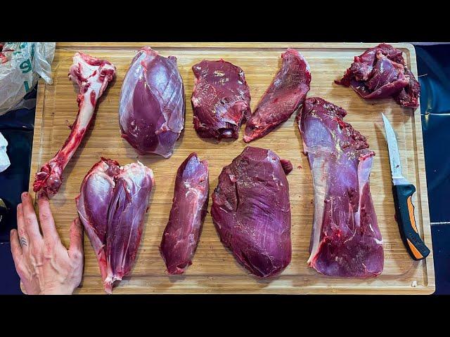 How to Butcher a Deer Hind Quarter * EVERY CUT EXPLAINED *