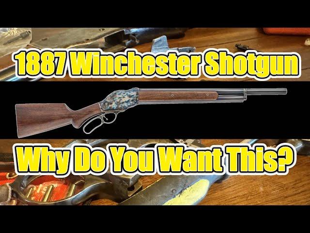 1887 Winchester - The Rube Goldberg Device of Shotguns