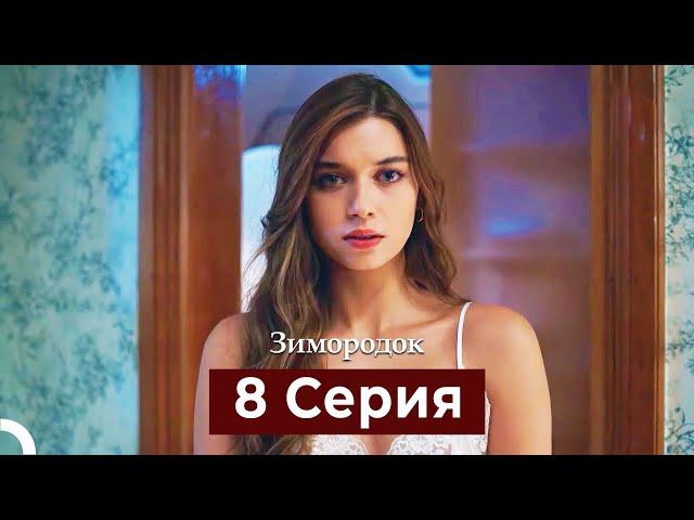 Зимородок 8 Cерия (Русский дубляж)