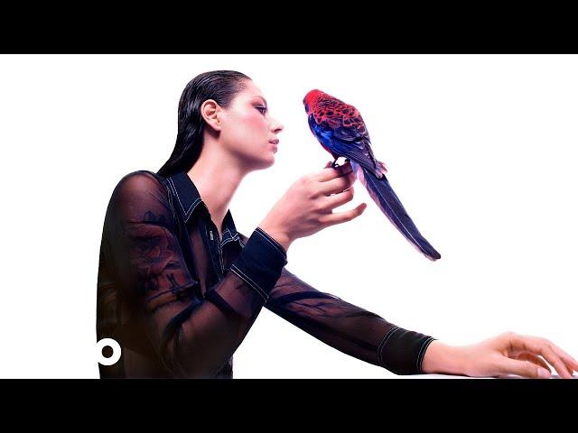Grace Cummings - Always New Days Always (Official Audio)
