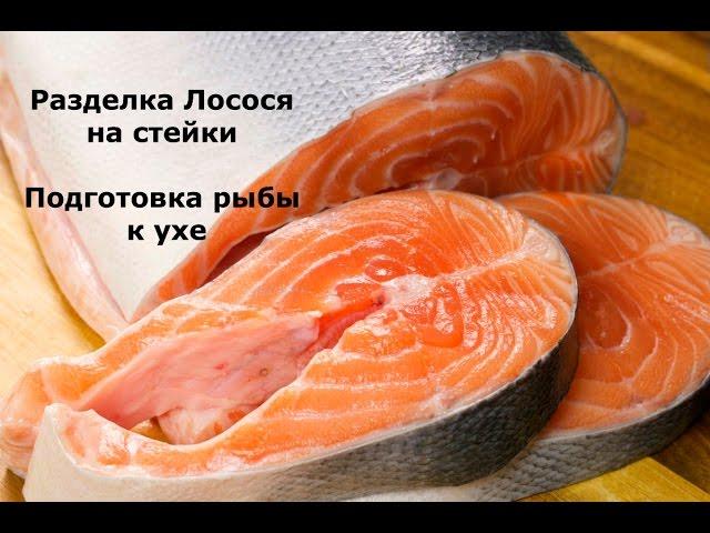 Как разделать лосося или семгу на стейки. Разделка рыбы на уху.