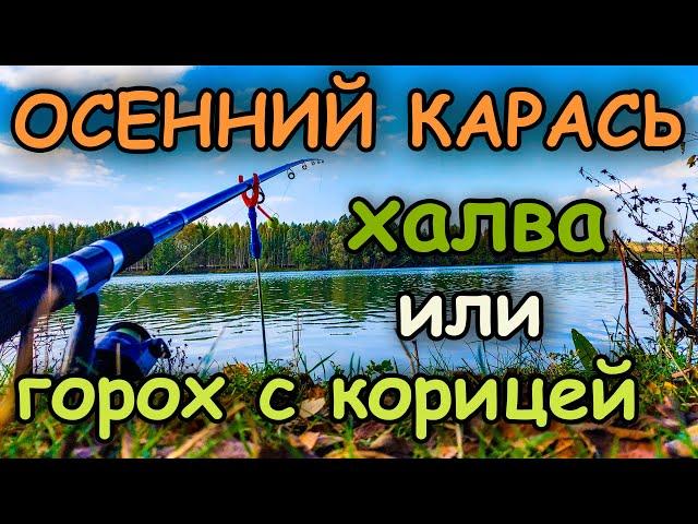 Ловля карася осенью. Что даст смена прикормки?