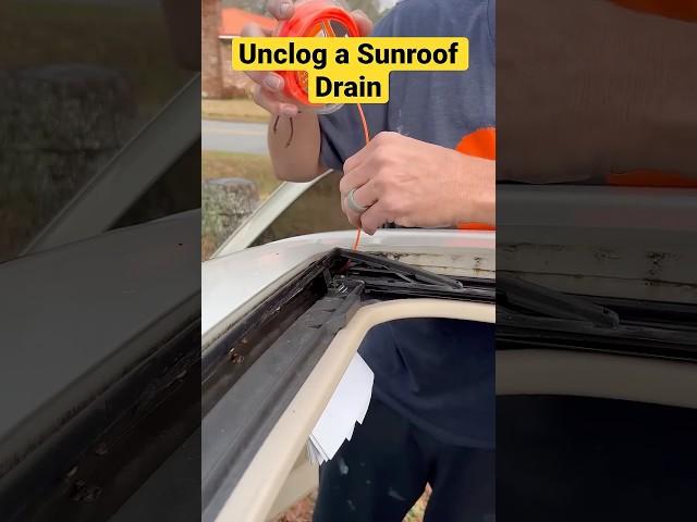 Unclog Sunroof Drains with Weedwacker Line. #diy