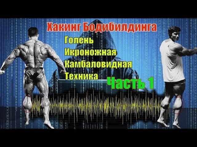 Как накачать голень. Лучшие упражнения. Техника. Часть 1. Хакинг Бодибилдинга