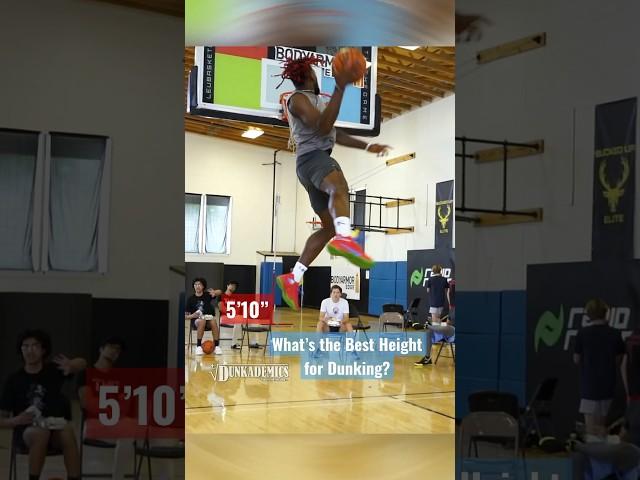 What’s the Best Height For SMASHING Dunks?