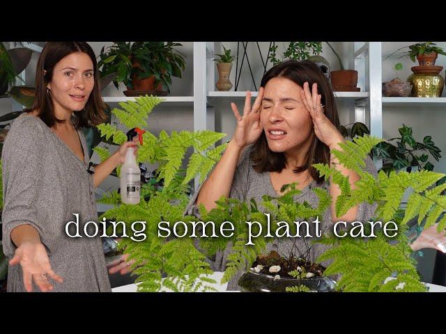 Sit down plant care mumbo jumbo