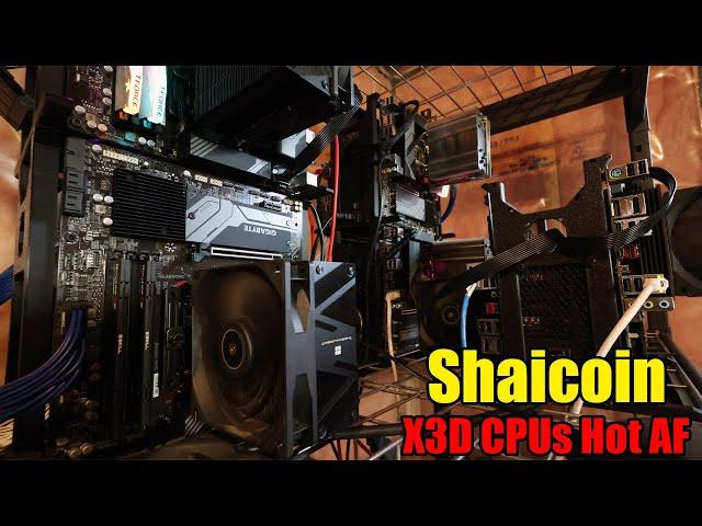 HELP!! Shaicoin Melting X3D CPUs?  What's your Temps?