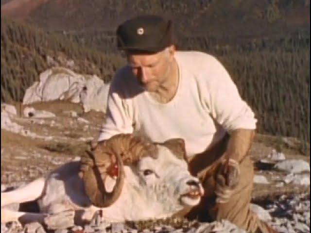 This is My Alaska (1969)