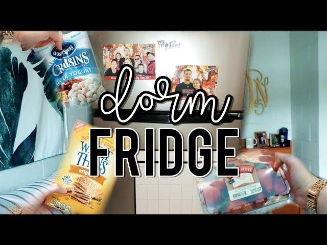 What's in my College Dorm Mini-Fridge?