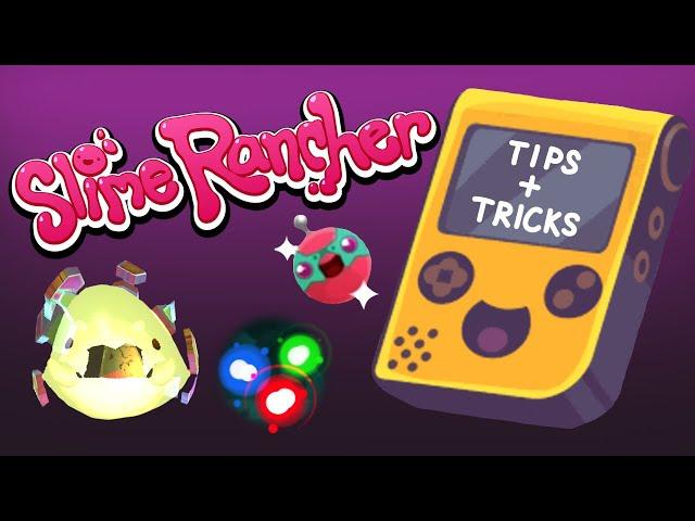 Tips & Tricks from a Pro Slime Rancher + My Ranch Update