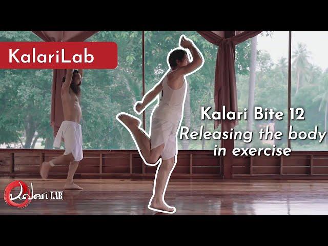 Kalari Bite 12 - Releasing the body in exercise by Kalarilab