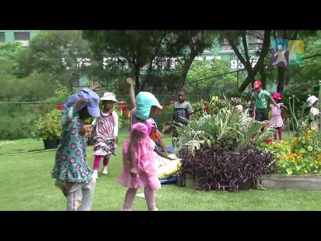 Have you thought about...? NQS PLP - Natural play in your environment ?