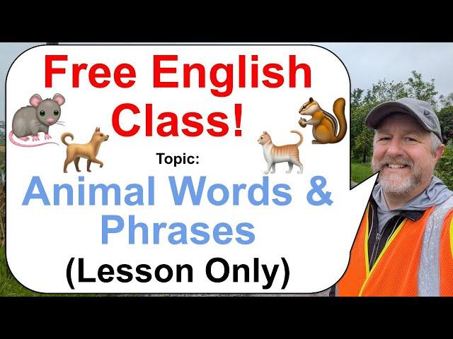 Let's Learn English! Topic: Animal Inspired Words & Phrases! ️