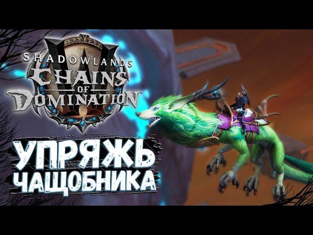 Упряжь летнего чащобника [МАУНТ] Седло чащобника - WoW Shadowlands 9.1